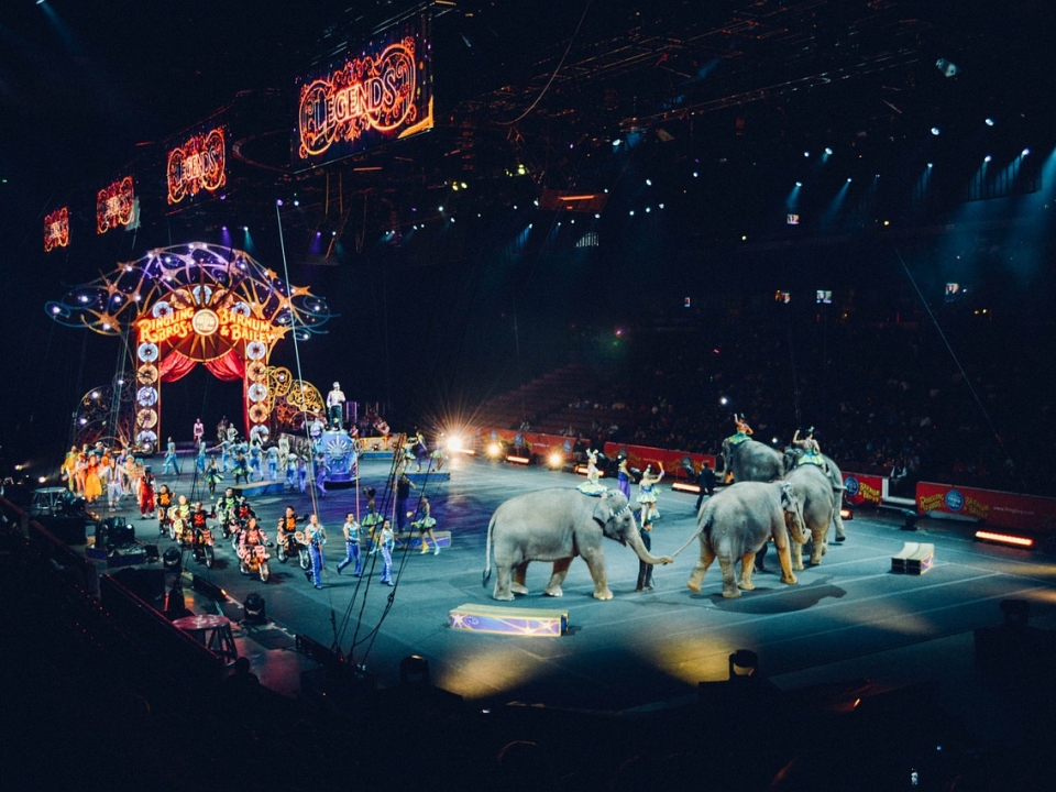 Image for Министру культуры РФ предложили ввести запрет на посещение цирка детьми