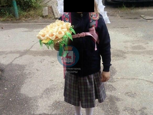 Image for На Автозаводе 9-летнюю девочку придавило листами гипсокартона
