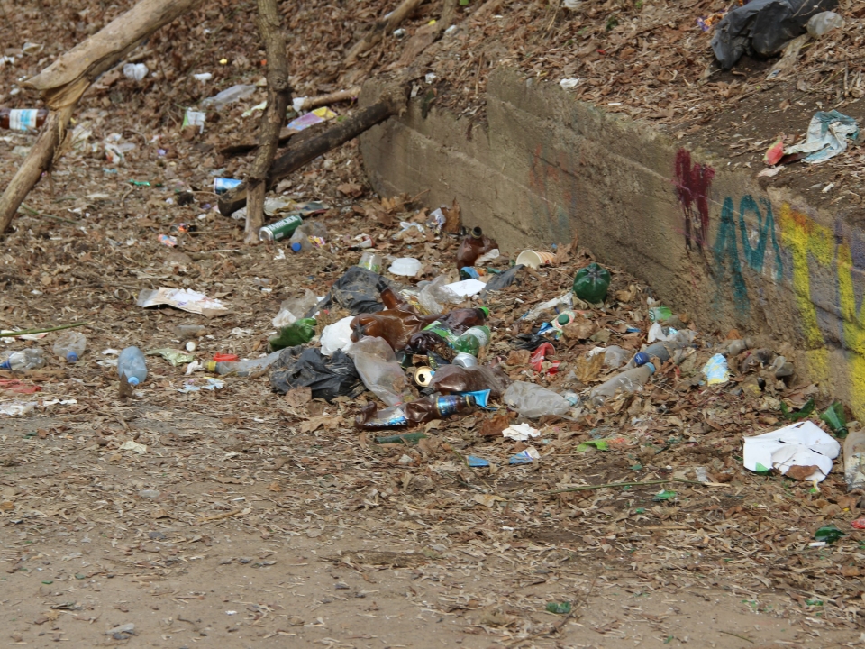 Image for АО «Ситиматик – Нижний Новгород» оштрафовали за разлетевшийся мусор на Бору
