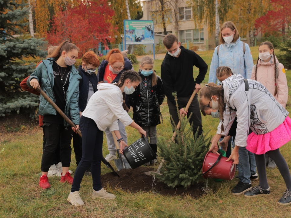 В Дзержинске высажено 200 елей в рамках проекта 