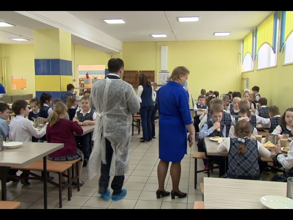 Нижегородских рестораторов хотят привлечь к проверкам питания в школах