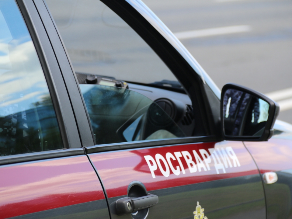 Image for Росгвардейцы задержали напавшего с ножом на женщину в Нижнем Новгороде