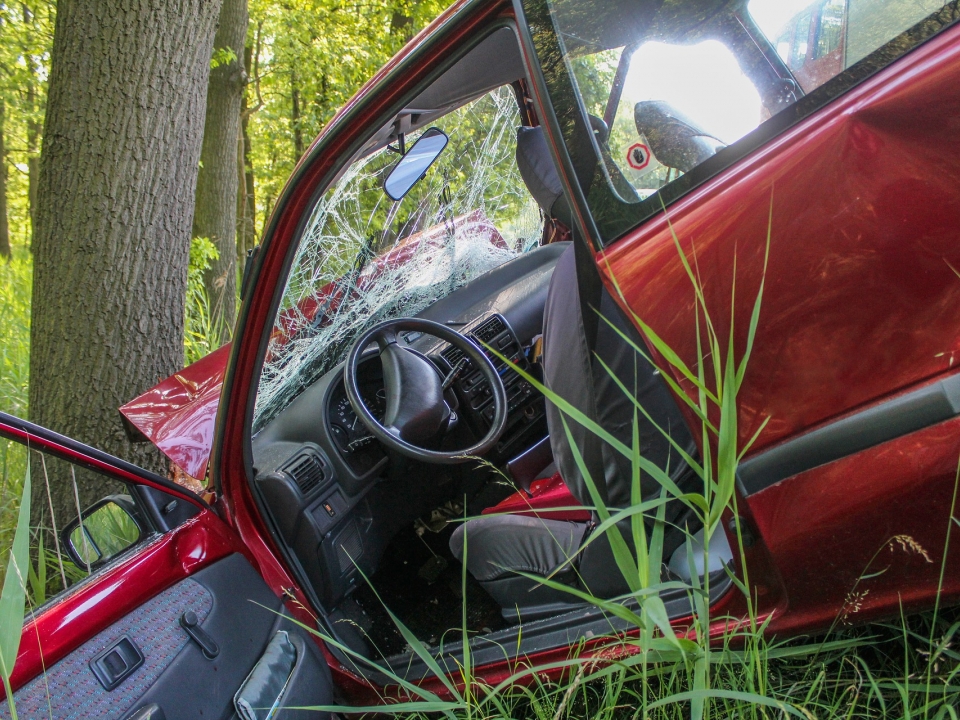 39-летний водитель ВАЗ погиб, врезавшись в дерево в Сосновском районе