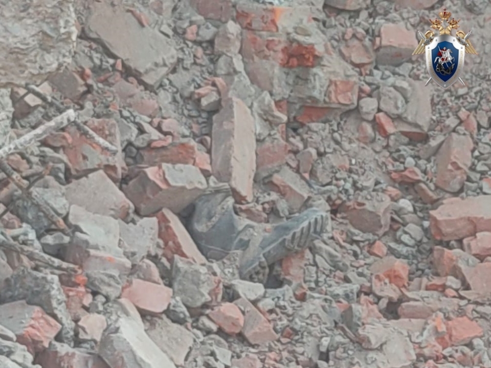 Image for Случай гибели нижегородца под завалами бывшего завода комбикорма проверит СК