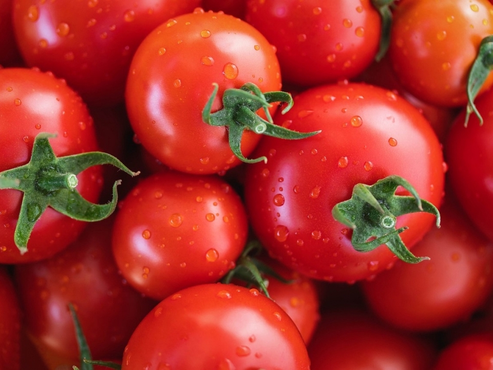 Image for Около 40 тонн опасных томатов не пропустили в Нижегородскую область