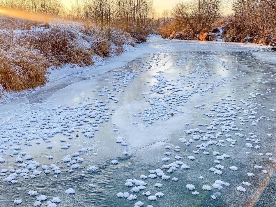 Image for Ледяные цветы распустились на реке Кудьма
