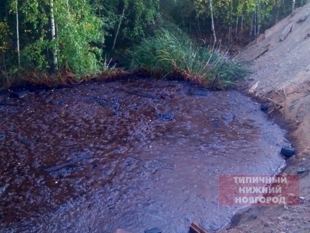 Image for Виновных в сбросе отходов на Бурнаковке накажут