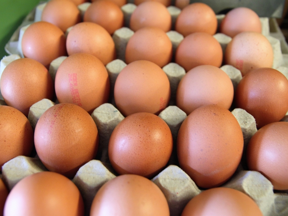 Image for Нижегородские магазины могут поднять цены на яйцо и мясо птицы