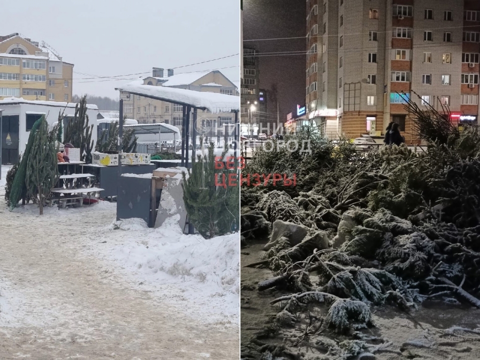 Image for Свалки нераспроданных елок появились в Нижнем Новгороде после Нового года