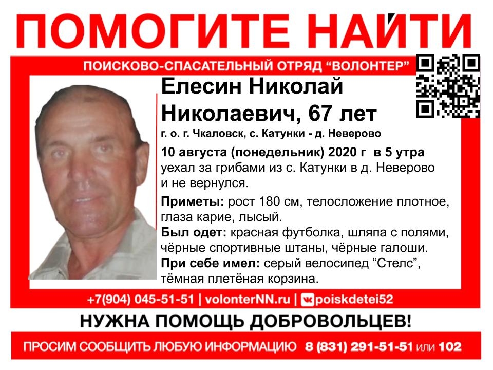 Сбор на поиск 67-летнего Николая Елесина объявлен в Нижегородской области