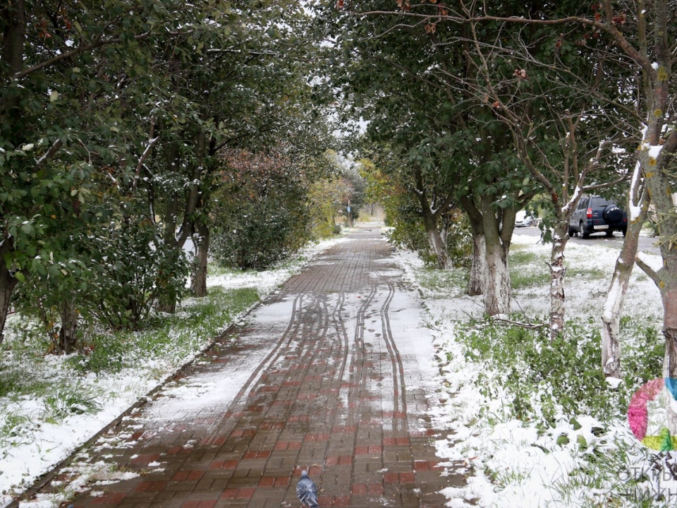 Image for Первый снег выпадет в Нижнем Новгороде в выходные