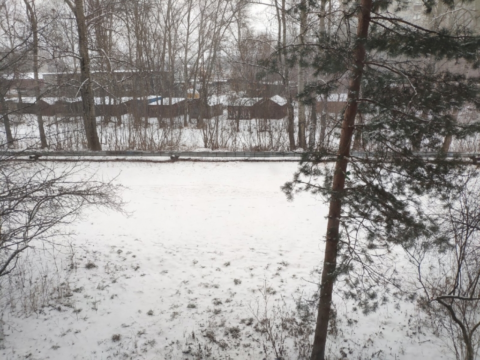 Image for Сильный снег накроет север и центр Нижегородской области