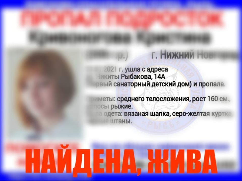 Image for Второй сбежавший из детдома в Нижнем Новгороде подросток найден живым