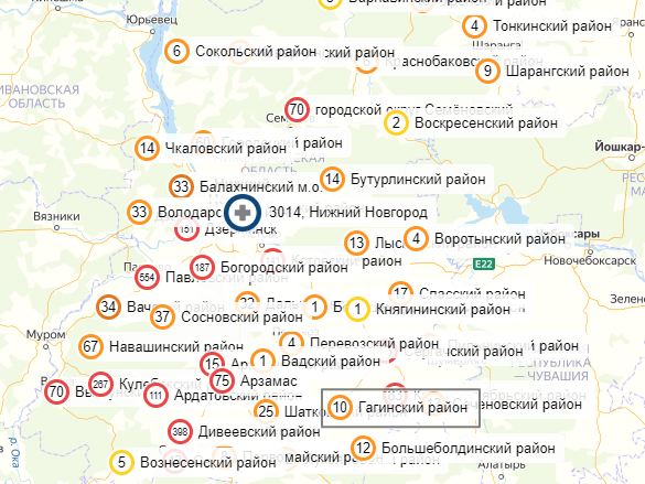 Коронавирус обнаружен во всех районах Нижегородской области