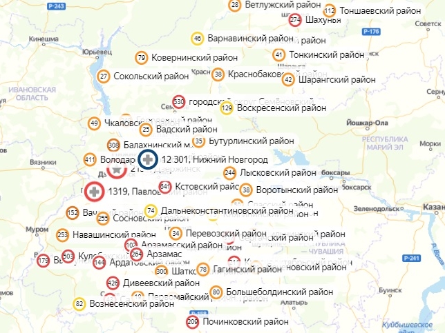 Коронавирус не нашли в 30 муниципалитетах Нижегородской области