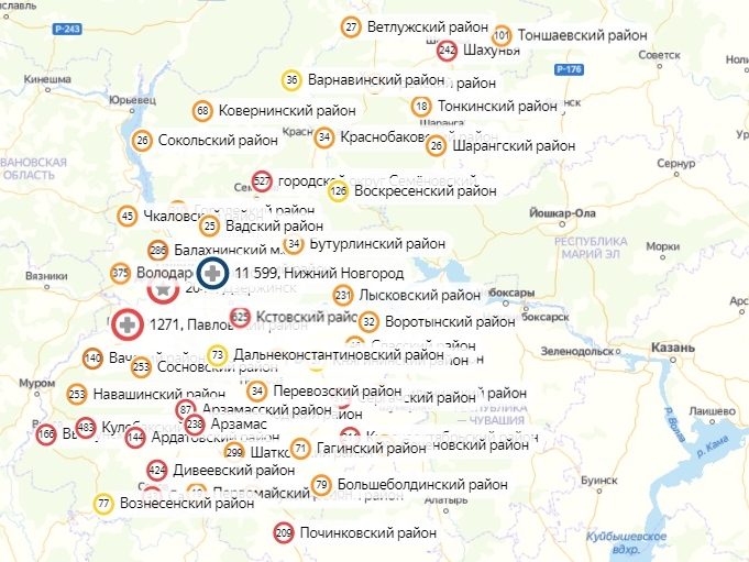 Коронавирус не нашли в 33 районах Нижегородской области