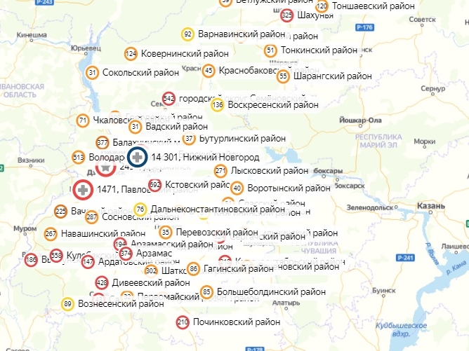 Image for В 31 районе Нижегородской области не нашли COVID-19