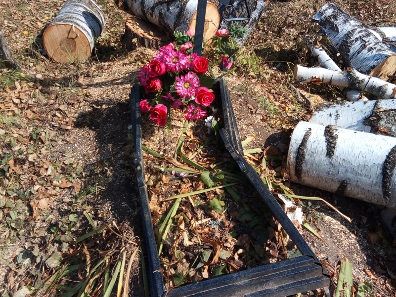 На нижегородском кладбище из-за спила деревьев оказались повреждены памятники и ограды могил