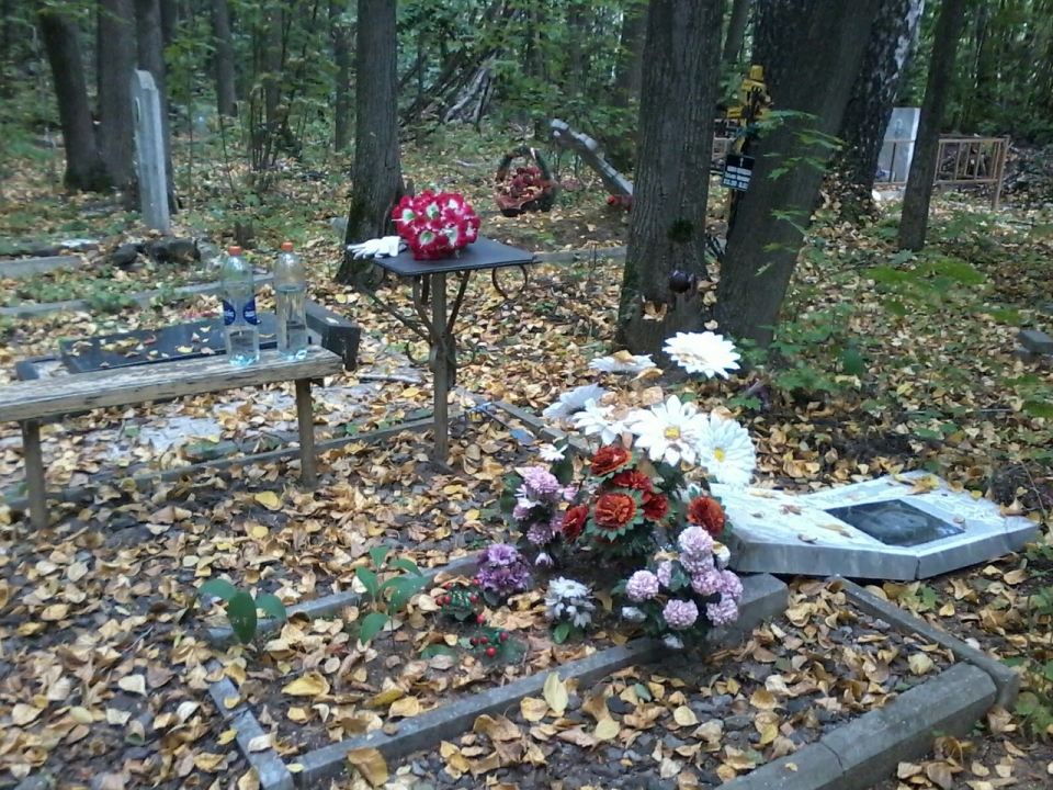 Нижегородцы обнаружили поваленные памятники на кладбище возле ТЦ 
