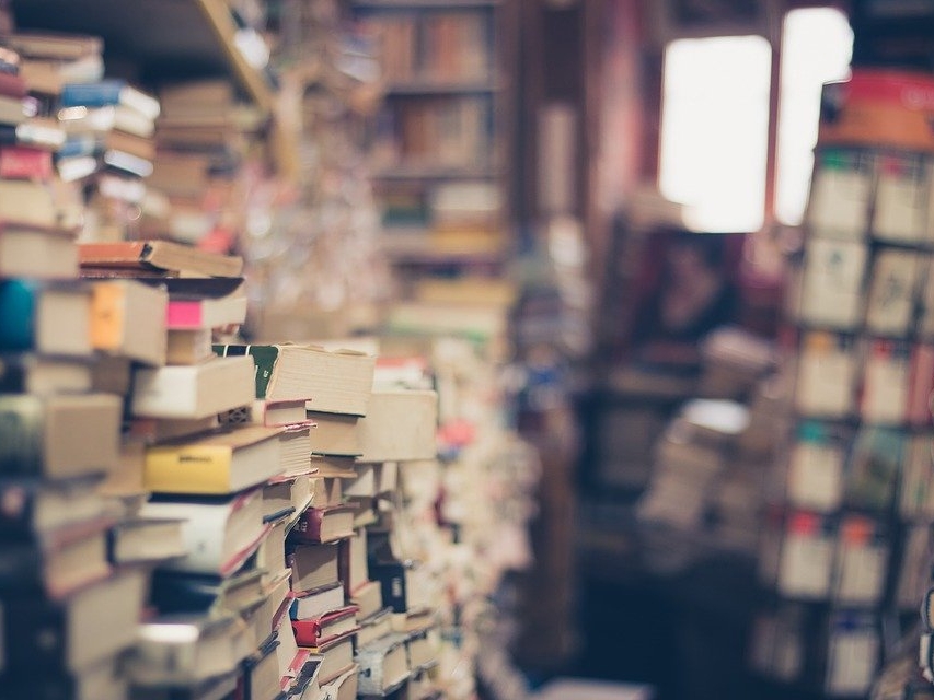 Библиотекари будут на бегу дарить книги нижегородцам 1 сентября