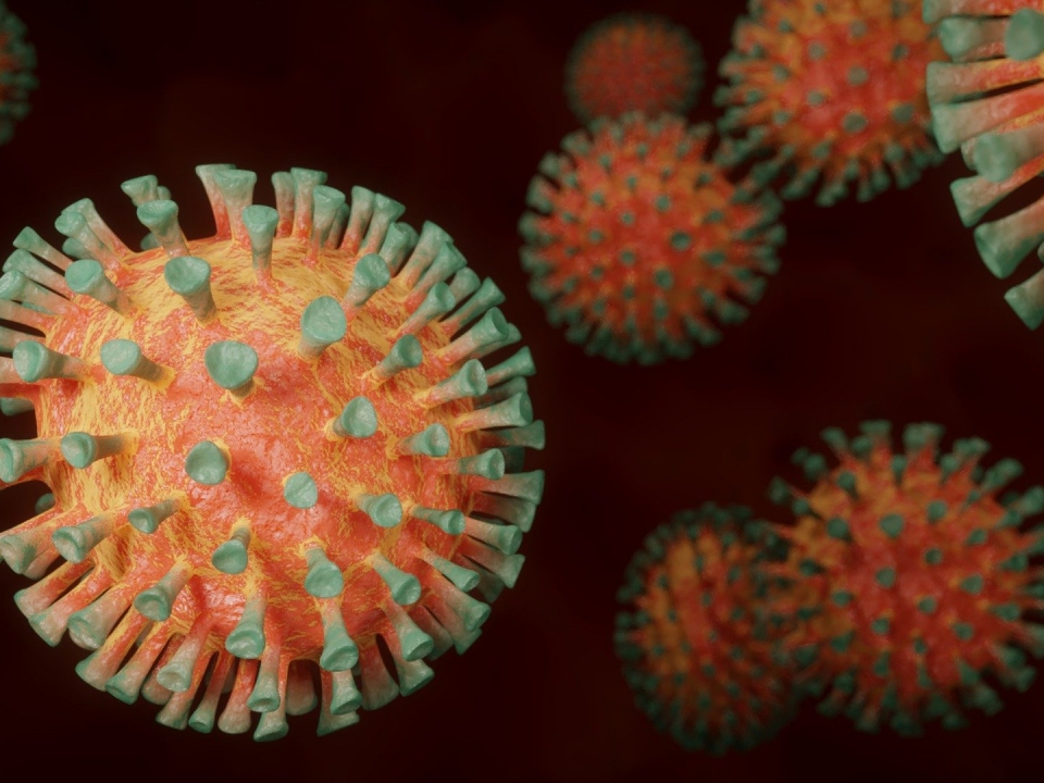 Image for 469 заразившихся коронавирусом выявили в Нижегородской области