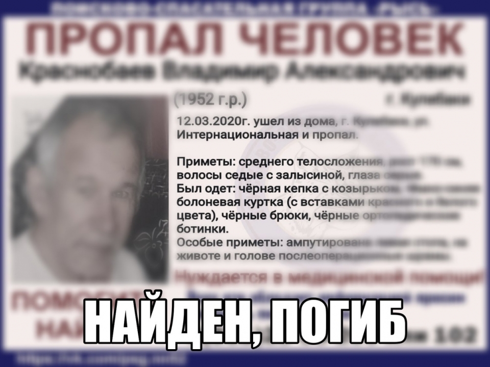 Image for Пропавший в Кулебаках Владимир Краснобаев найден погибшим