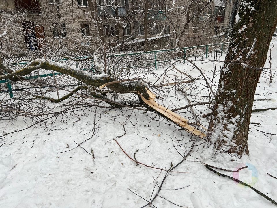 Image for Мэр Шалабаев высказался о работе нижегородских коммунальщиков после ледяного дождя