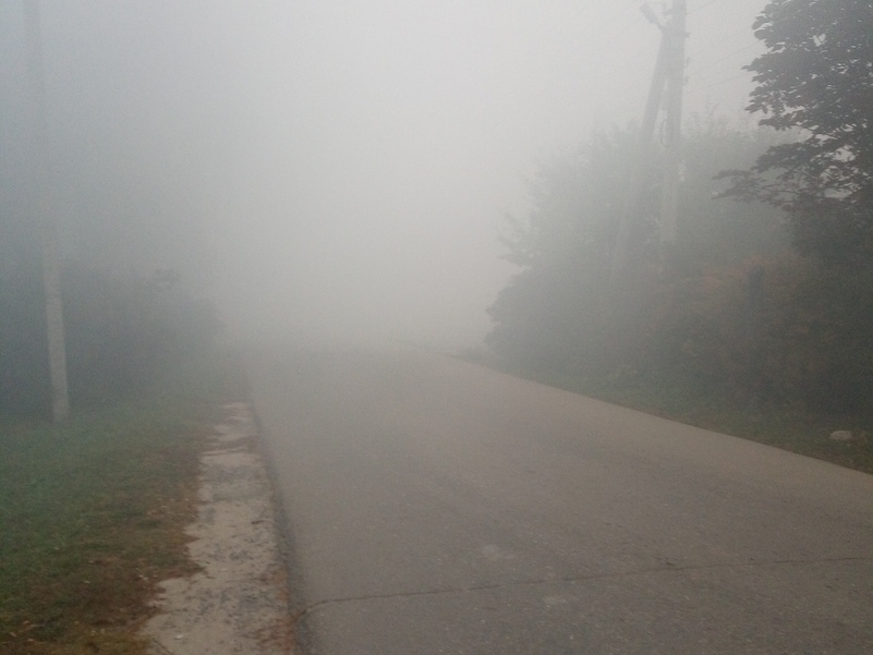 Image for Стали известны причины накрывшего Богородск смога