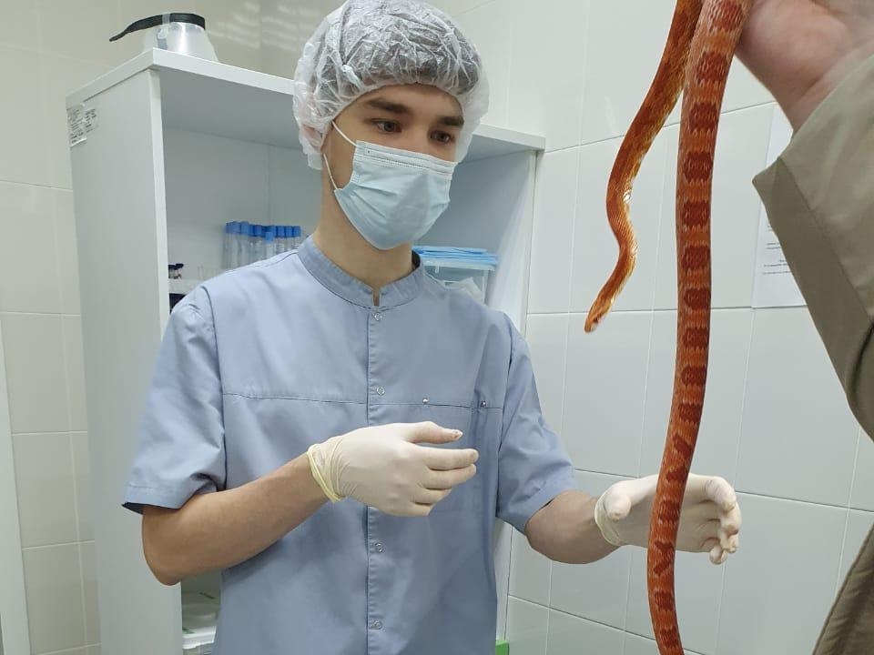 Image for Отдел клинической лаборатории для животных открылся в Нижегородской области