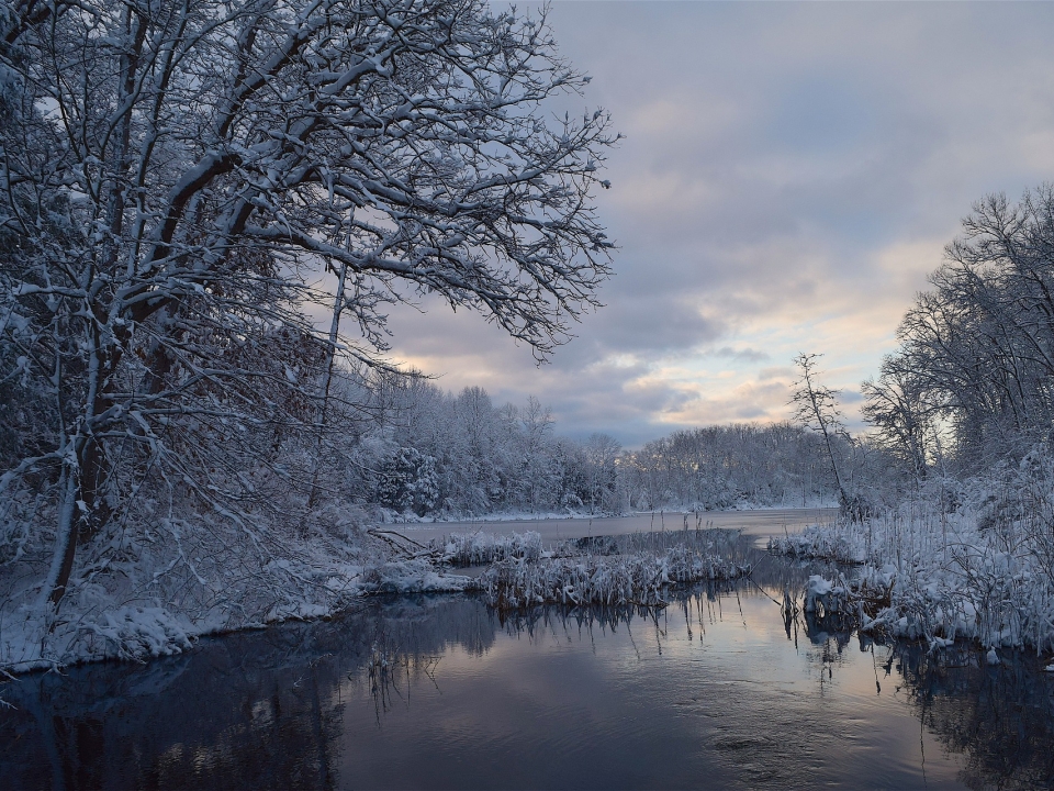 Image for Небольшой снег с потеплением до −8 °C обещают нижегородцам 29 января