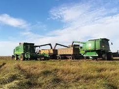 В Нижегородской области в 17 раз увеличили поддержку аграриев, занимающихся переработкой льна
