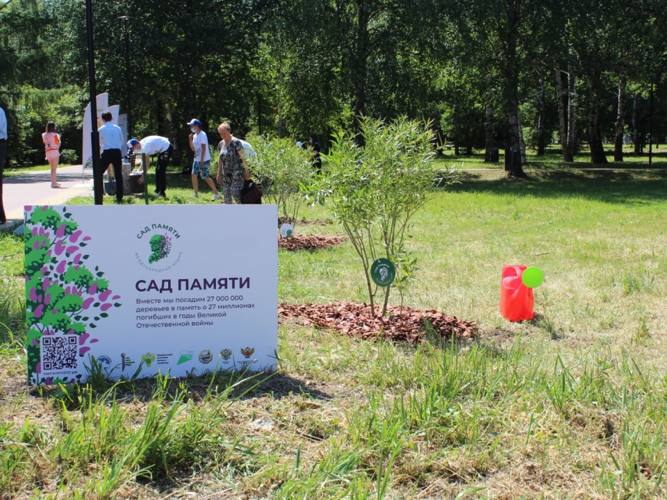 Image for Более 300 тысяч сеянцев высадят в Нижегородской области в 2023 году 