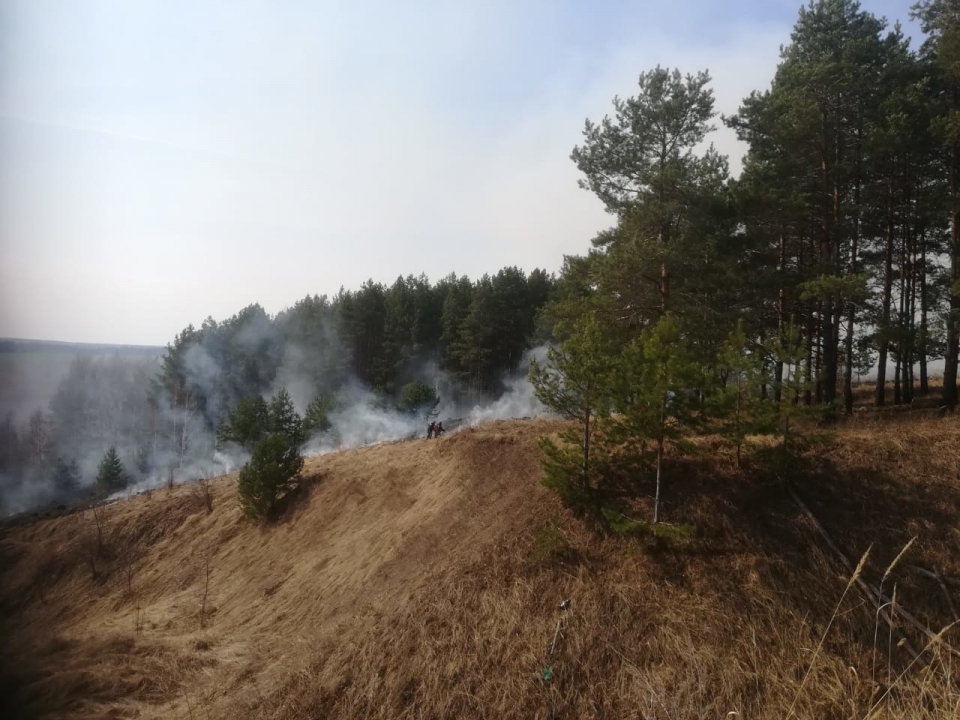 Image for Порядка 100 человек тушат пожар в Кстовском районе 16 апреля
