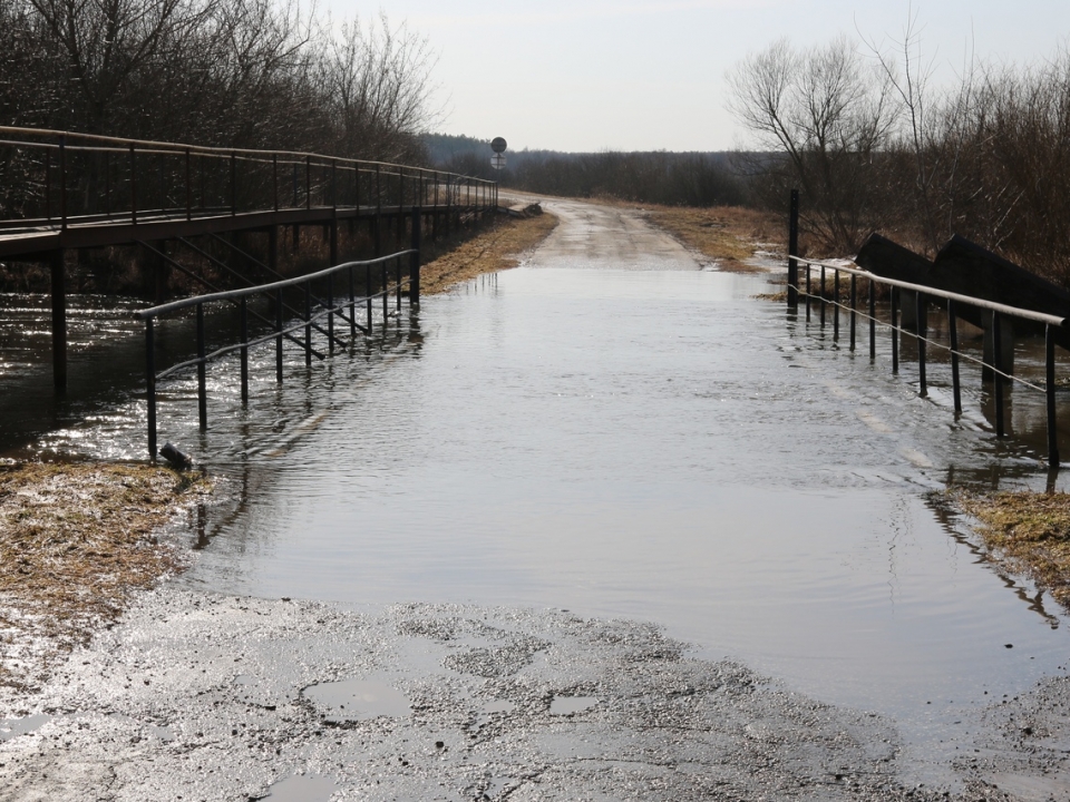 Image for Мост через Линду затопило в Нижегородской области