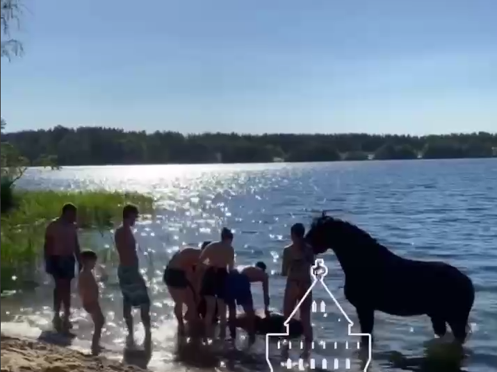 Image for Лошадь утопили в озере в Сормовском районе