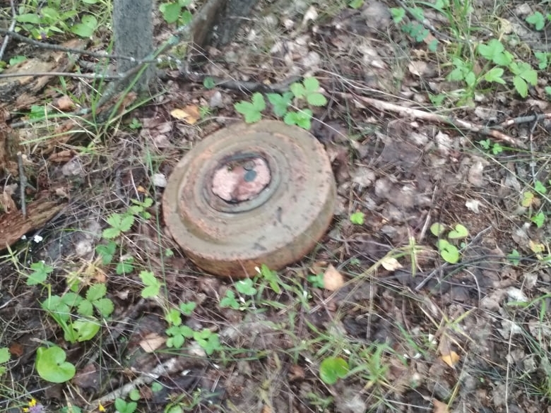 Image for Нижегородские грибники обнаружили в лесу мину