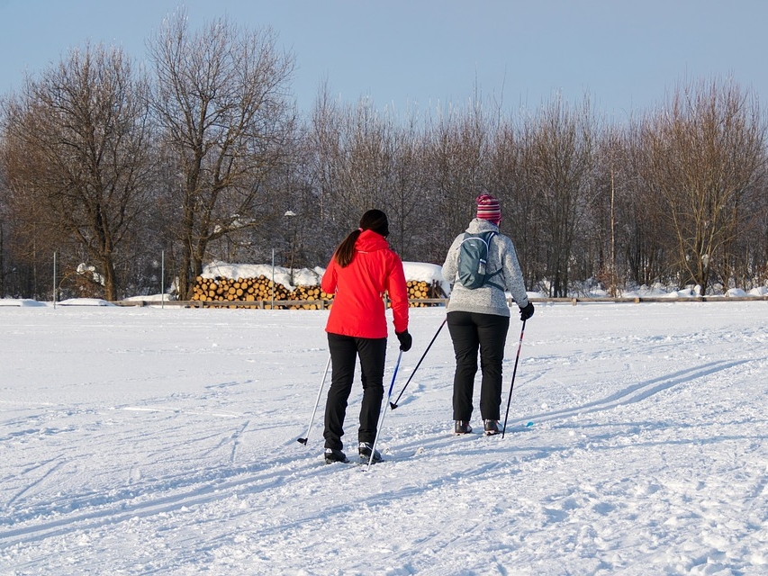 Лыжные дорожки в парке 