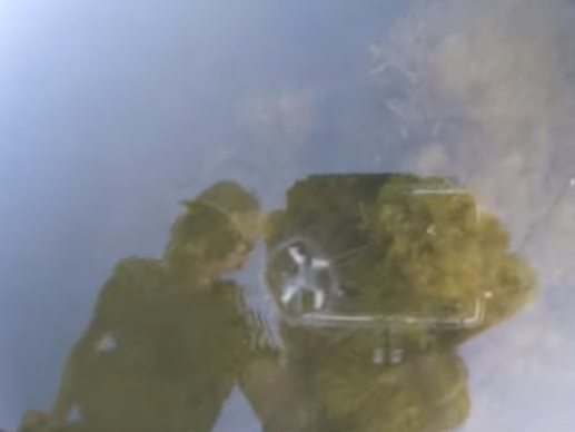 В Дзержинске рыбак заметил медуз в карьере