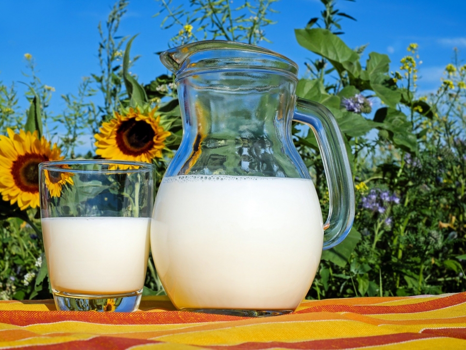Image for На 6% увеличилось производство молока в Нижегородской области