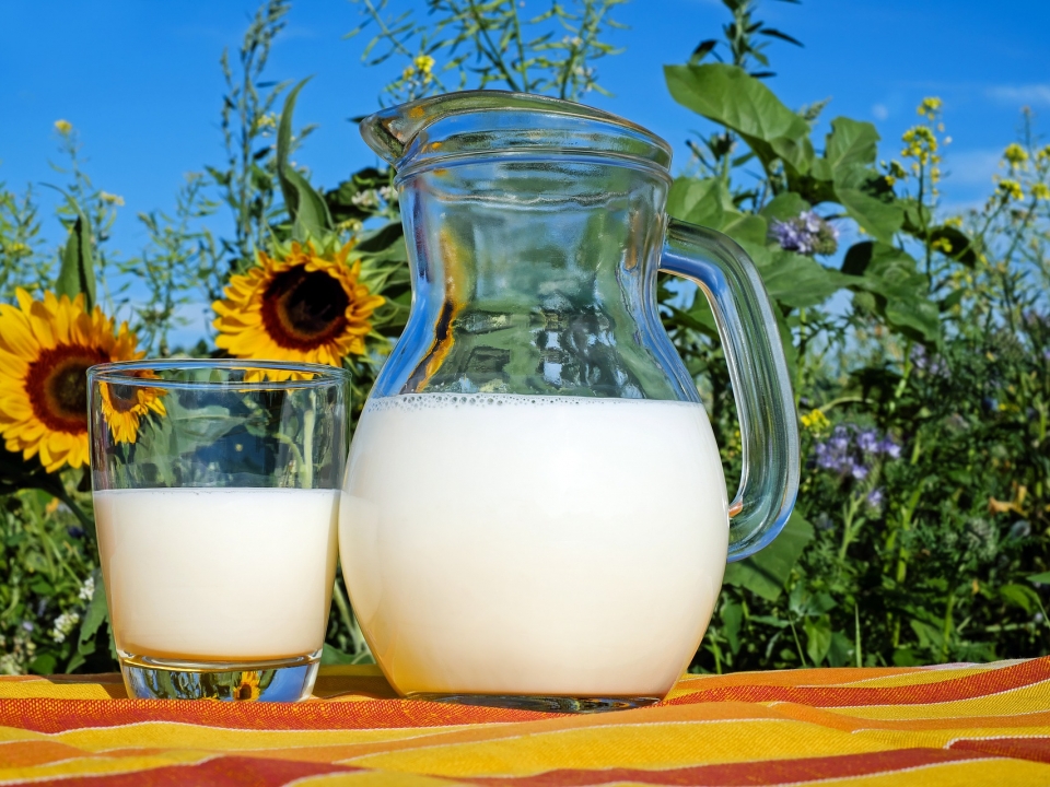 Image for Нижегородская область достигнет почти полного самообеспечения молоком к 2025 году