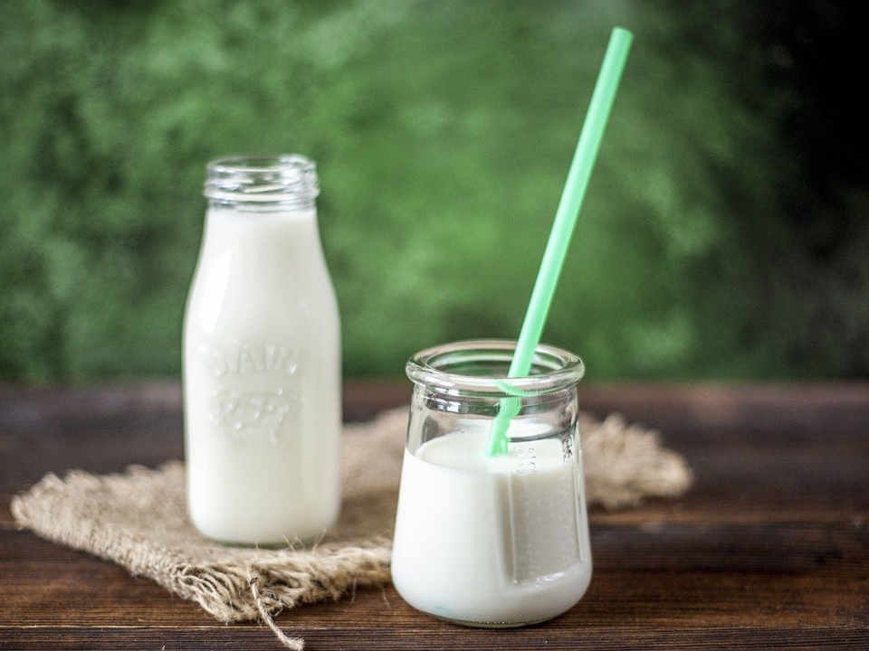 Image for Производство молока в Нижегородской области увеличилось на 2% с начала года 