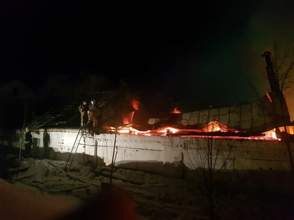 Image for Двух лошадей спасли во время пожара в Богородском монастыре