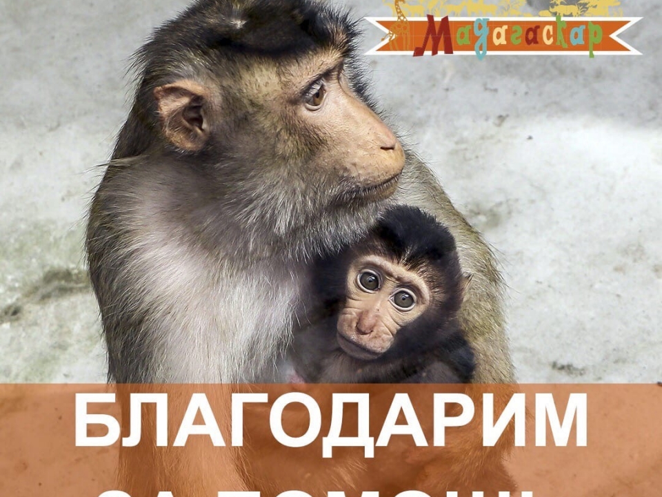 Image for Нижегородский зоопарк 