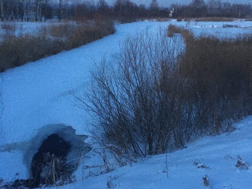 Image for Трое детей провалились под лед на пруду в Кстовском районе: один мальчик погиб
