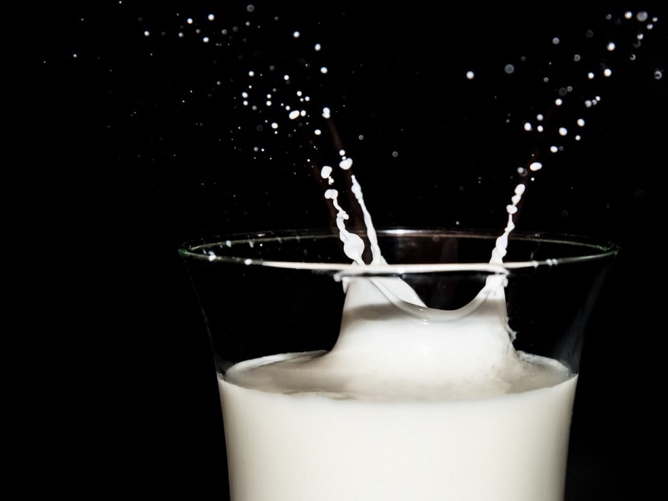 Image for Три нижегородских предприятия декларировали молочную продукцию в лабораториях-призраках