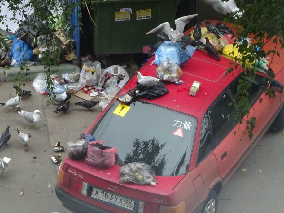 Image for Нижегородцы закидали мусором машину, перегородившую проход к контейнерам