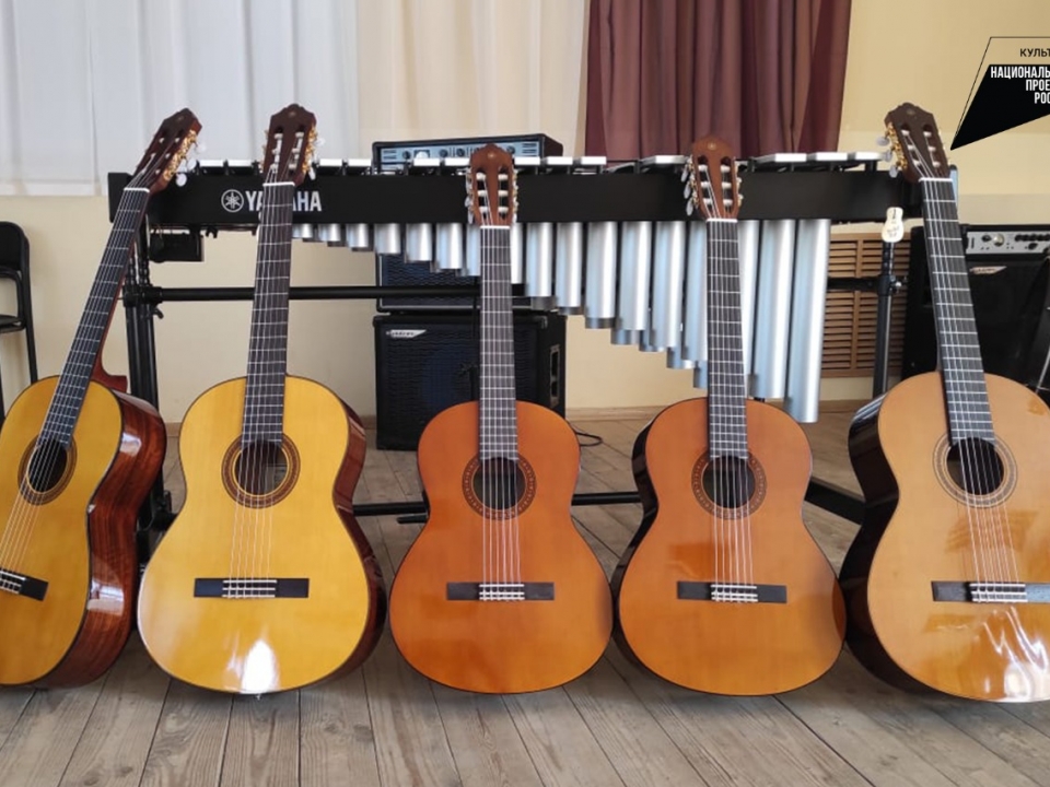 Image for Более 400 музыкальных инструментов закупили в нижегородские училища