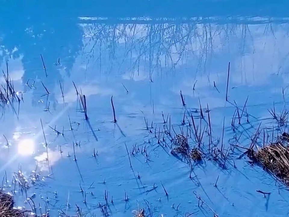 Image for В Дзержинске начали расследовать разлив неизвестного голубого вещества