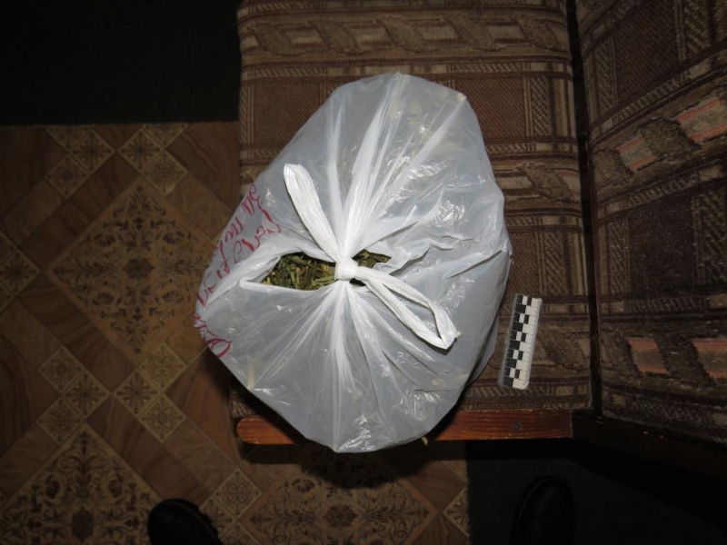 Image for Двух жителей Володарска задержали с 370 граммами марихуаны