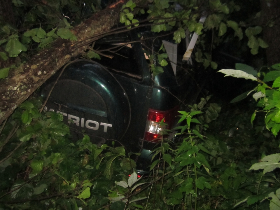 Image for Два человека погибли в ДТП с деревьями на Бору и в Навашине 